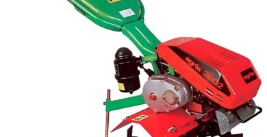 Reseña motoazada Agria 3002