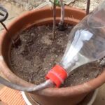 Tutorial en el que se explica como se hace un sistema de riego por goteo totalmente casero