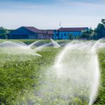 Una parcela llena de flores siendo regada con el tipo de regadío por aspersión
