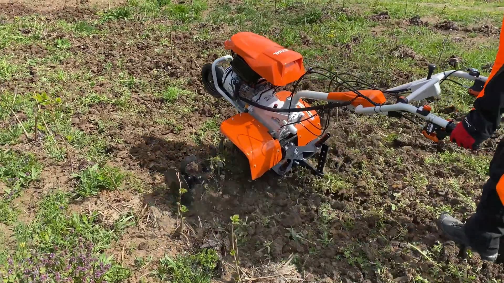 Probando una mula mecánica moderna en el huerto