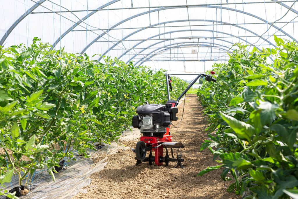 Cual es el motocultor más barato y bueno del mercado