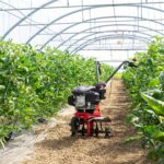 Cual es el motocultor más barato y bueno del mercado